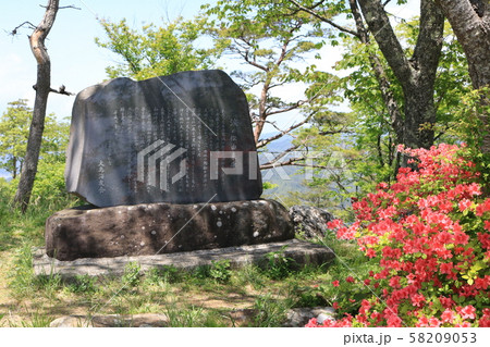亀山頂上、涙の松由来碑 亀山頂上、涙の松由来碑 58209053