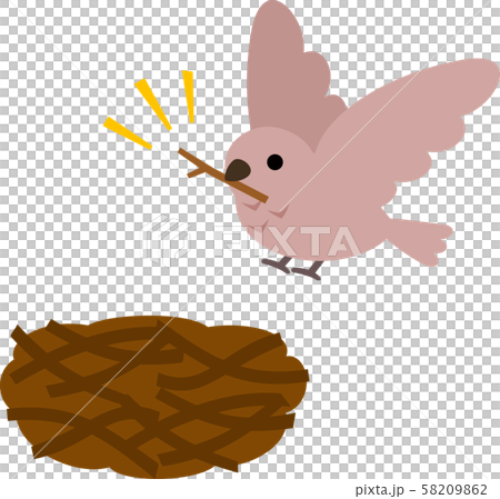 野鳥在樹枝上carrying著樹枝 野鳥在樹枝上carrying著樹枝 58209862