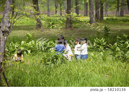 自然学習 自然学習 58210136