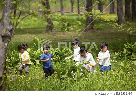 自然学習 自然学習 58210144