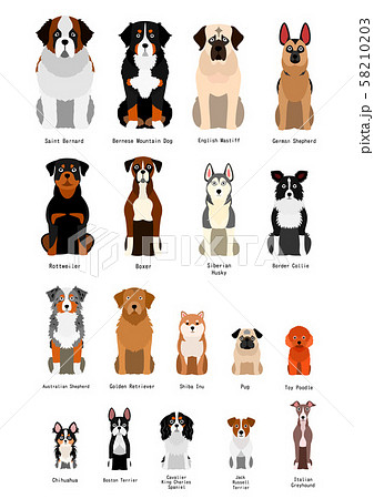 いろいろな犬種のイラスト素材 5103