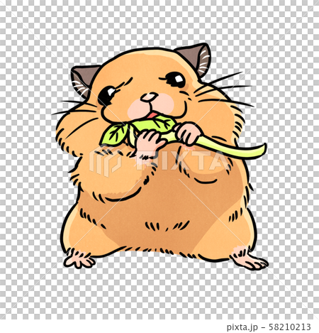 Golden rat eating bean sprouts 58210213