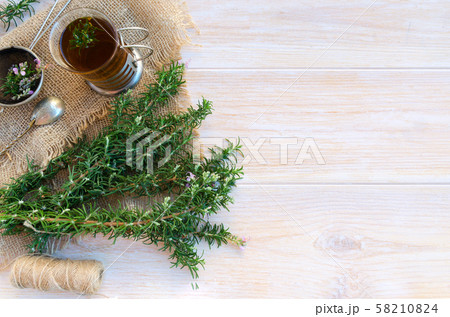 Rosemary herb 58210824