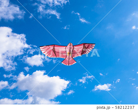 鳥追いカイト 鳥追いカイト 58212237