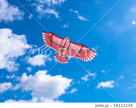 鳥追いカイト 鳥追いカイト 58212238