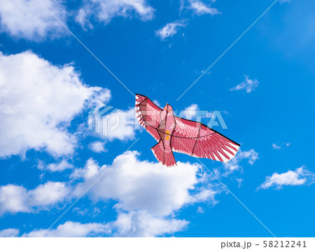 鳥追いカイト 鳥追いカイト 58212241