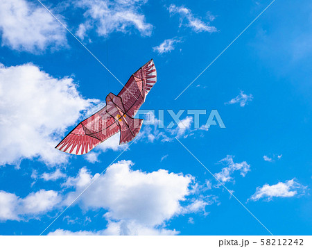 鳥追いカイト 58212242