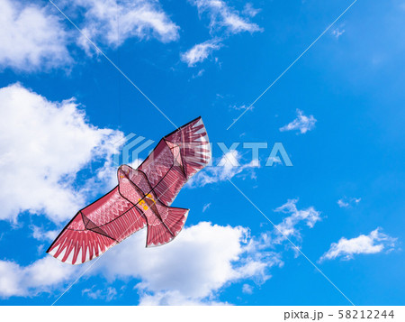 鳥追いカイト 鳥追いカイト 58212244