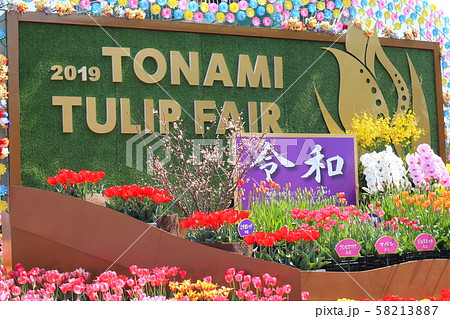 砺波チューリップフェア2019 砺波チューリップフェア2019 58213887
