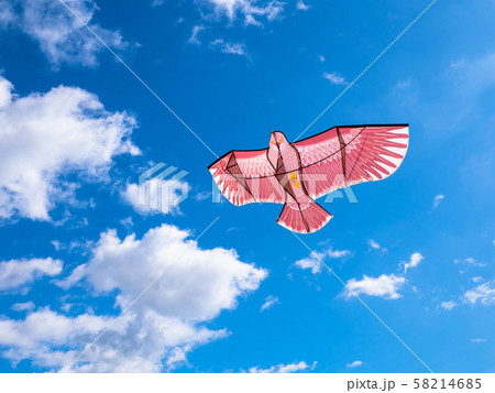 鳥追いカイト 58214685