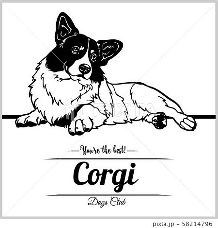 Corgi Dog Vector Illustration For T Shirt のイラスト素材