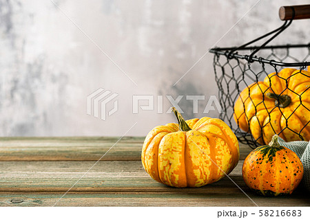 Autumn pumpkin thanksgiving background Autumn pumpkin thanksgiving background 58216683