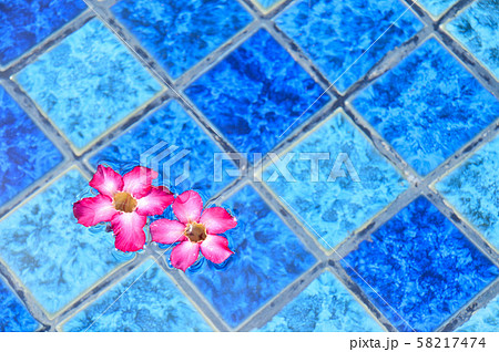 夏のイメージ プールに浮かぶ熱帯の花 夏のイメージ プールに浮かぶ熱帯の花 58217474
