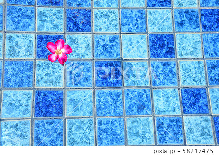 夏のイメージ プールに浮かぶ熱帯の花 夏のイメージ プールに浮かぶ熱帯の花 58217475