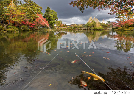 Kenrokuen garden during momiji season, Kanazawa city, Ishikawa prefecture, Japan Kenrokuen garden during momiji season, Kanazawa city, Ishikawa prefecture, Japan 58217615