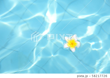 夏のイメージ　プールに浮かぶ熱帯の花 58217726