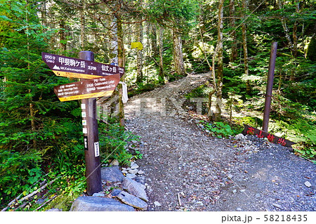 仙丈ケ岳　北沢峠からの登山口 58218435