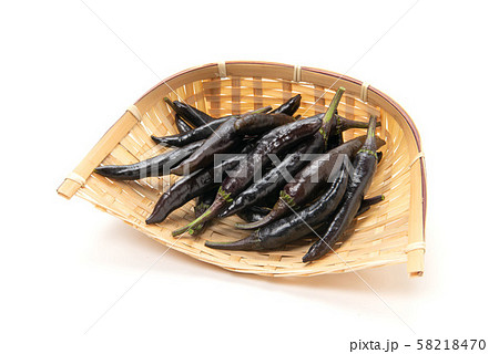紫唐辛子 紫唐辛子 58218470