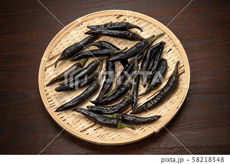 紫唐辛子 紫唐辛子 58218548