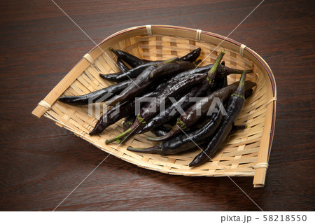紫唐辛子 紫唐辛子 58218550