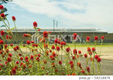 ストロベリーキャンドルと新幹線 58218876