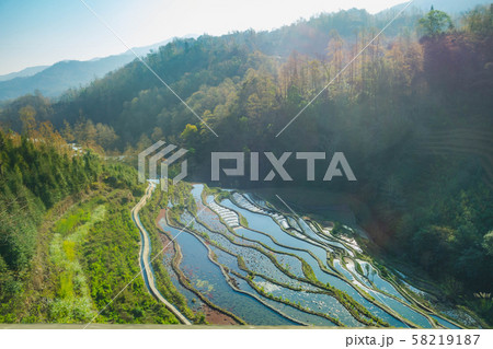 Terraced rice fields on the hill with bright blue 58219187