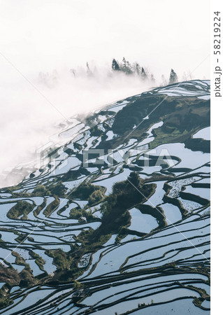 Terraced rice fields of YuanYang , China with sea 58219224