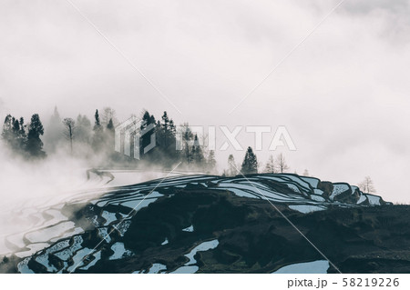 Terraced rice fields of YuanYang , China with sea 58219226