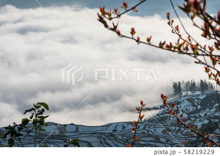 Terraced rice fields of YuanYang , China with sea 58219229