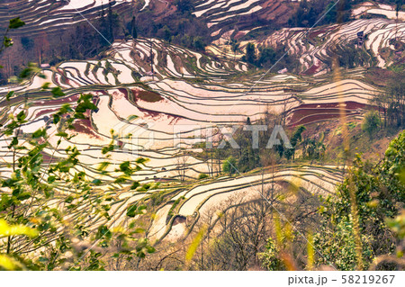 Terraced rice fields of YuanYang , China in the 58219267