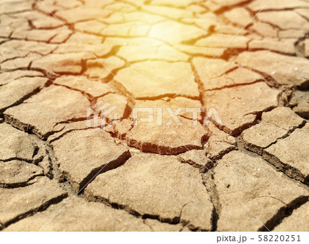 Closeup weathered texture and background of arid 58220251