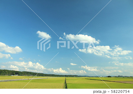 田園風景　栃木県高根沢町 58220754