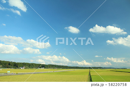 田園風景　栃木県高根沢町 58220758