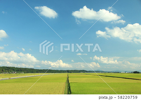 田園風景　栃木県高根沢町 58220759