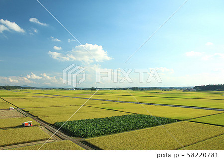 田園風景　栃木県高根沢町 58220781