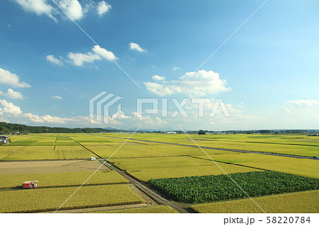田園風景　栃木県高根沢町 58220784