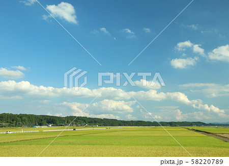 田園風景　栃木県高根沢町 58220789