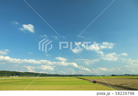 田園風景　栃木県高根沢町 58220796