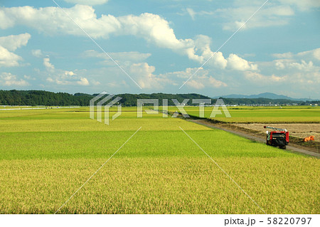 田園風景 栃木県高根沢町 田園風景 栃木県高根沢町 58220797