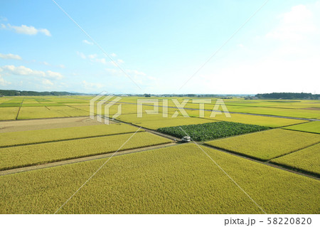田園風景　栃木県高根沢町 58220820