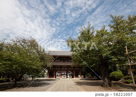 東京大田区の池上本門寺境内の山門、仁王門 東京大田区の池上本門寺境内の山門、仁王門 58221007