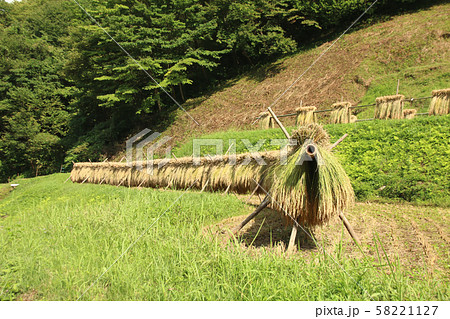 石畑の棚田　栃木県茂木町 58221127