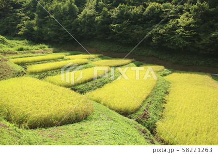 石畑の棚田　栃木県茂木町 58221263