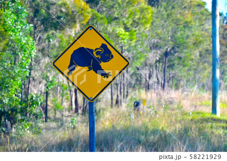 コアラの動物注意の道路標識の写真素材