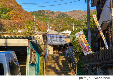 神奈川県伊勢原大山 秋のこま参道 神奈川県伊勢原大山 秋のこま参道 58221996