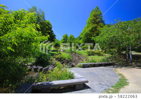 淡路島・淡路ハイウェイオアシスのニジゲンノモリ(新緑と小川のせせらぎ) 淡路島・淡路ハイウェイオアシスのニジゲンノモリ(新緑と小川のせせらぎ) 58222063
