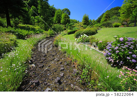 淡路島・淡路ハイウェイオアシスのニジゲンノモリ(新緑と小川のせせらぎ) 淡路島・淡路ハイウェイオアシスのニジゲンノモリ(新緑と小川のせせらぎ) 58222064