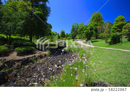 淡路島・淡路ハイウェイオアシスのニジゲンノモリ（新緑と小川のせせらぎ） 58222067