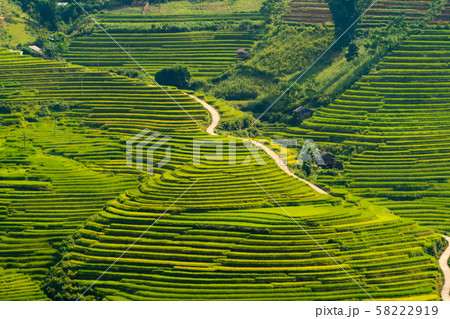 Aerial top view of paddy rice terraces, green 58222919