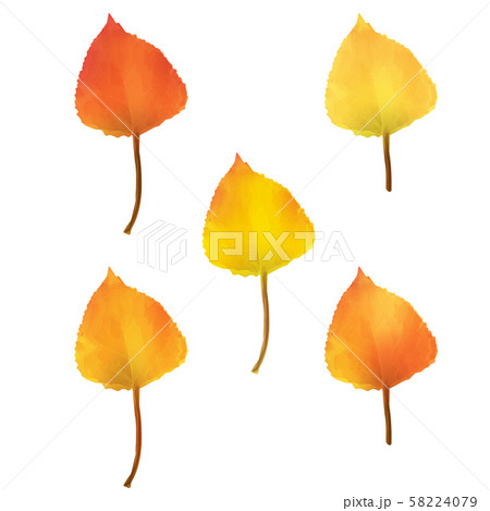 Realistic Birch Tree Leaves in Changing Fall Colors. 58224079